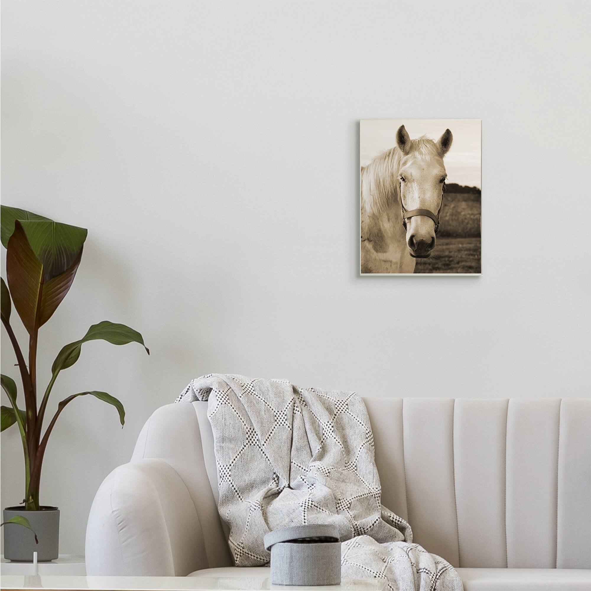 Stupell Industries Rustic Sepia tone Portrait of White Horse Wall Plaque